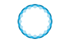 NASBTT logo transparent